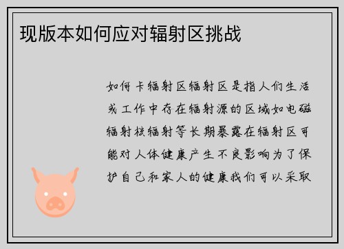 现版本如何应对辐射区挑战